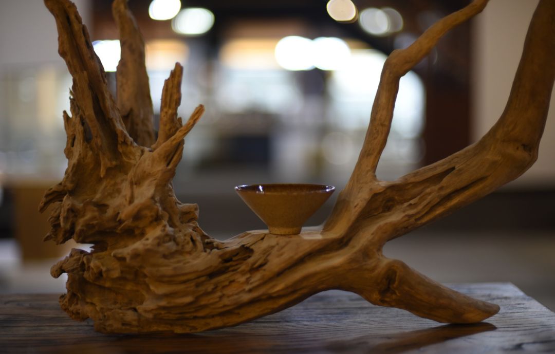 粗瓷茶具-枯樹上的大宋定窯斗笠杯 粗瓷茶具-枯樹上的大宋定窯斗笠杯